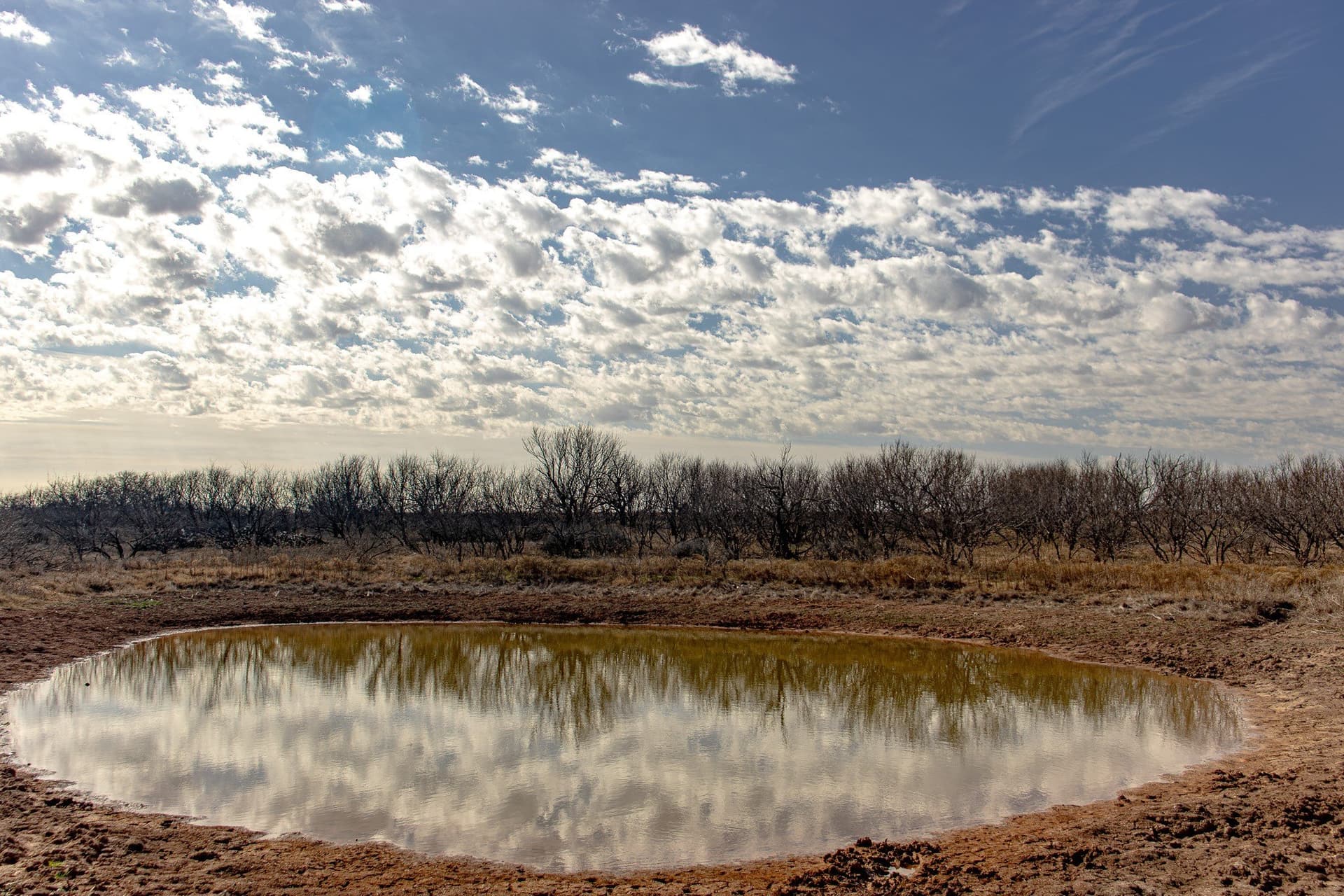 167 acres in Baylor County - photo 6