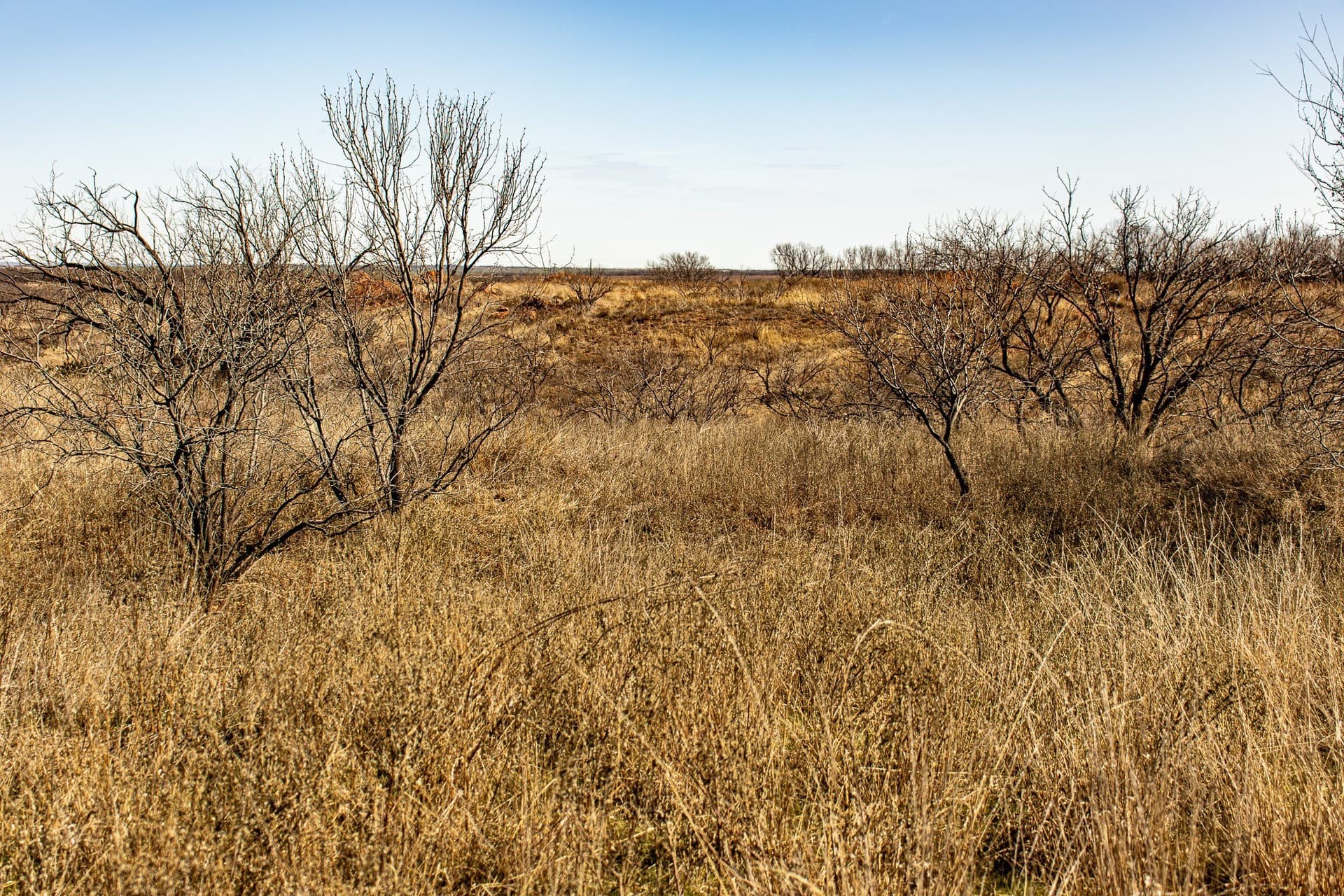 167 acres in Baylor County - photo 28