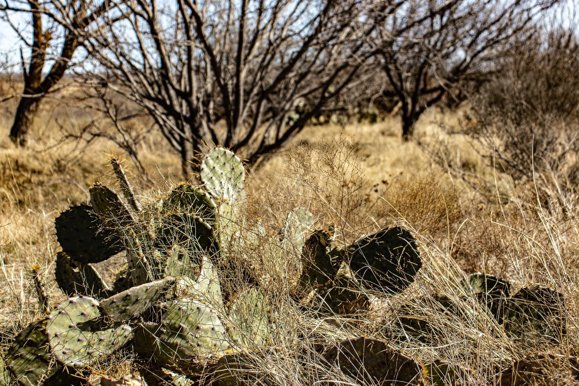 167 acres in Baylor County - photo 30
