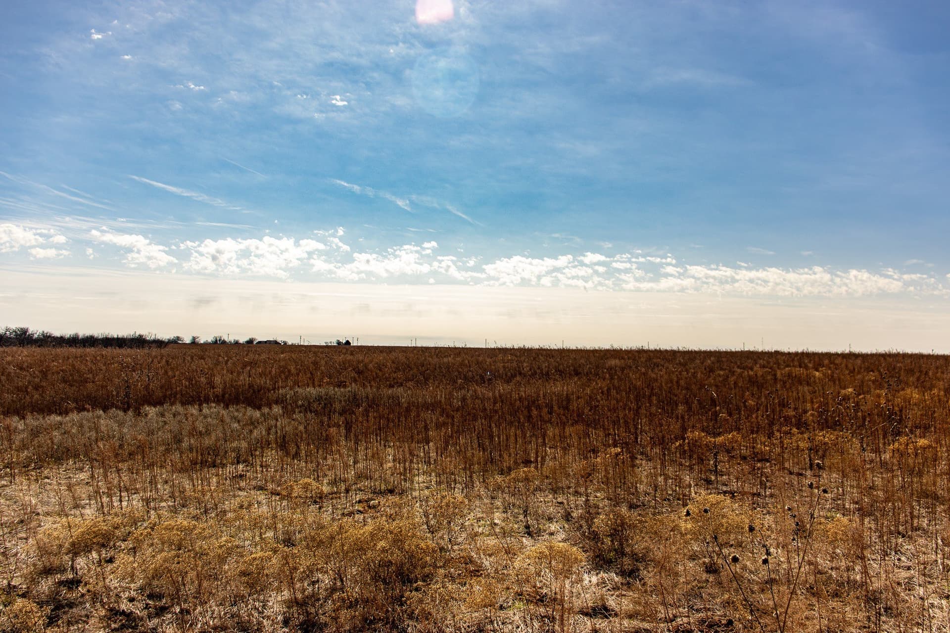 167 acres in Baylor County - photo 26