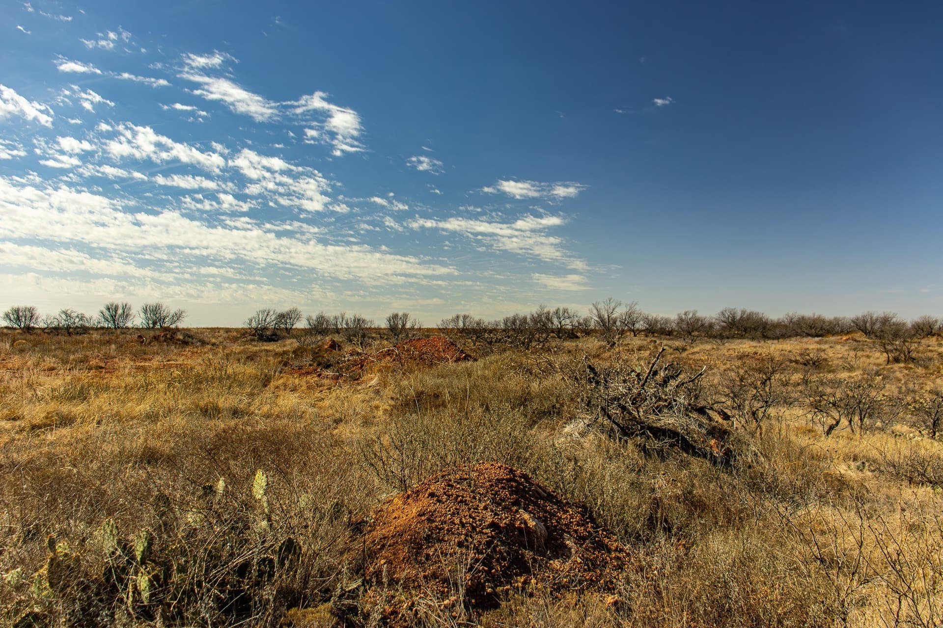 167 acres in Baylor County - photo 15