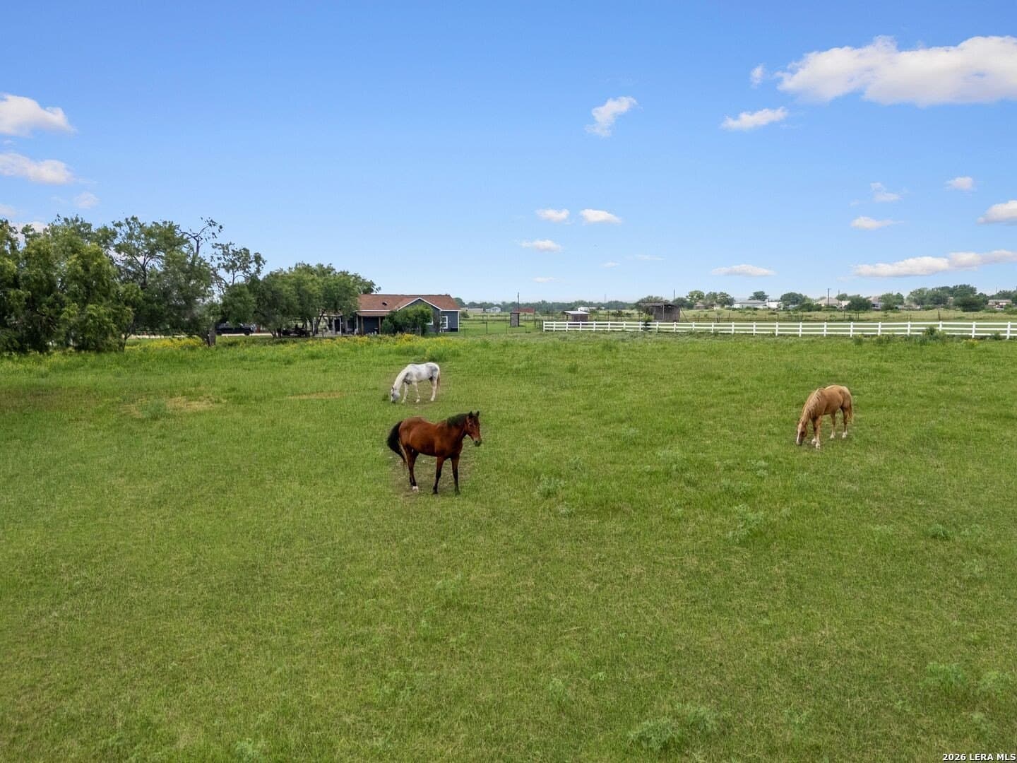 5.07 acres in Bexar County - photo 73