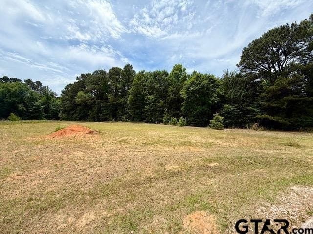 1.01 acres in Smith County - photo 2