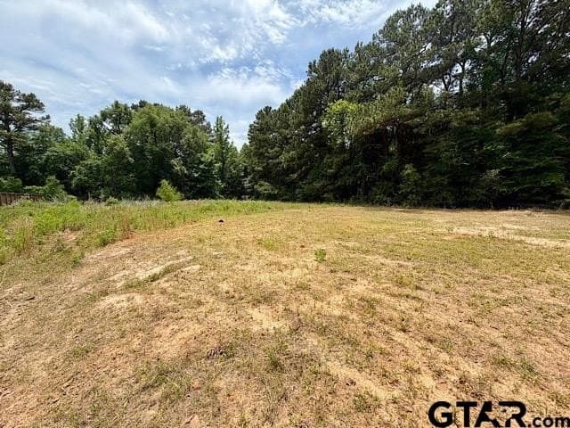 1.01 acres in Smith County - photo 3