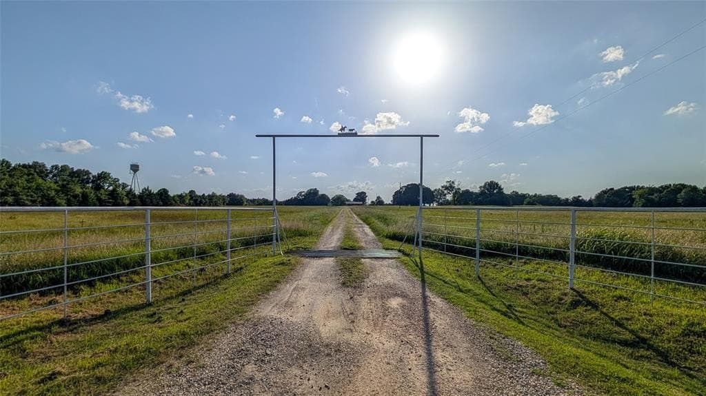 51.47 acres in Lamar County gallery image 3