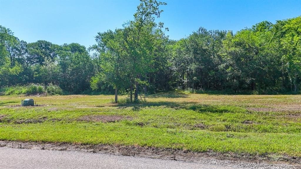 1.01 acres in Navarro County gallery image 3