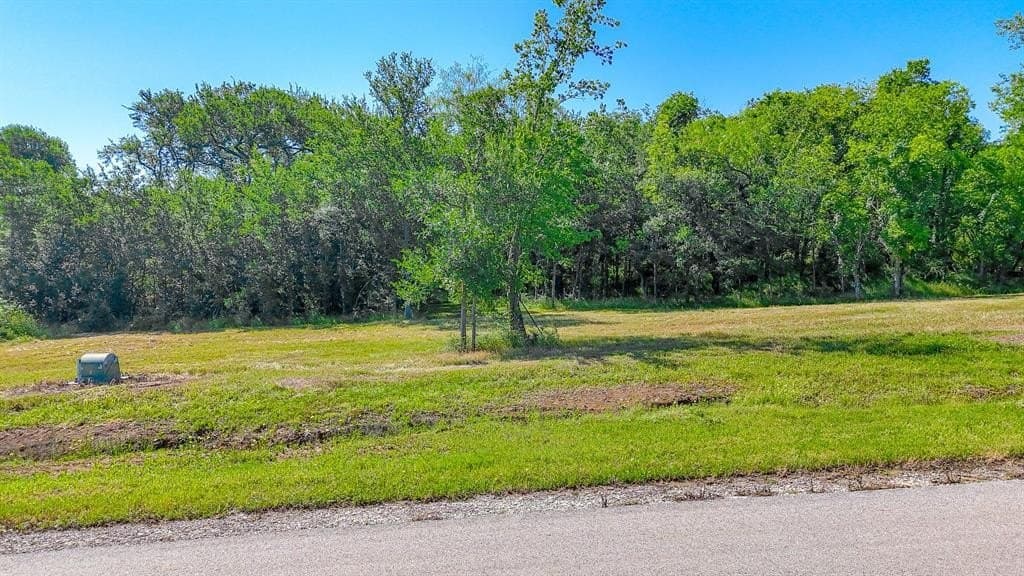 1.01 acres in Navarro County gallery image 2