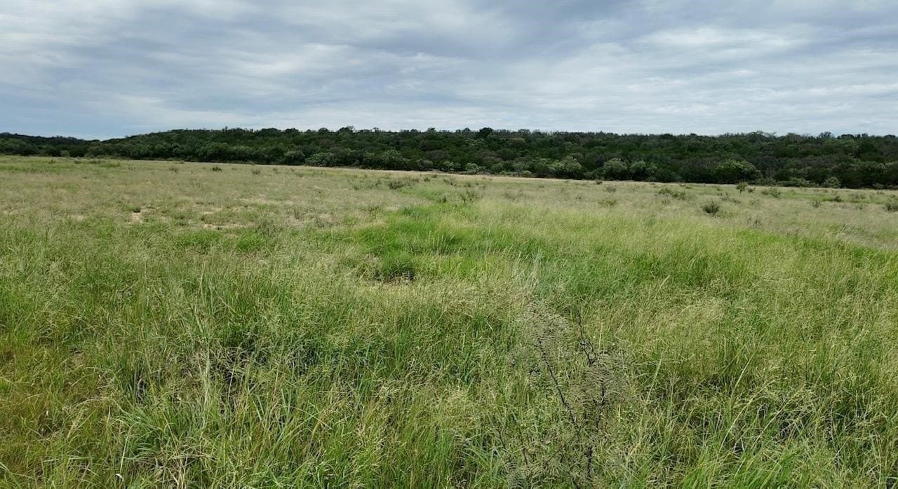 220 acres in McCulloch County - photo 8