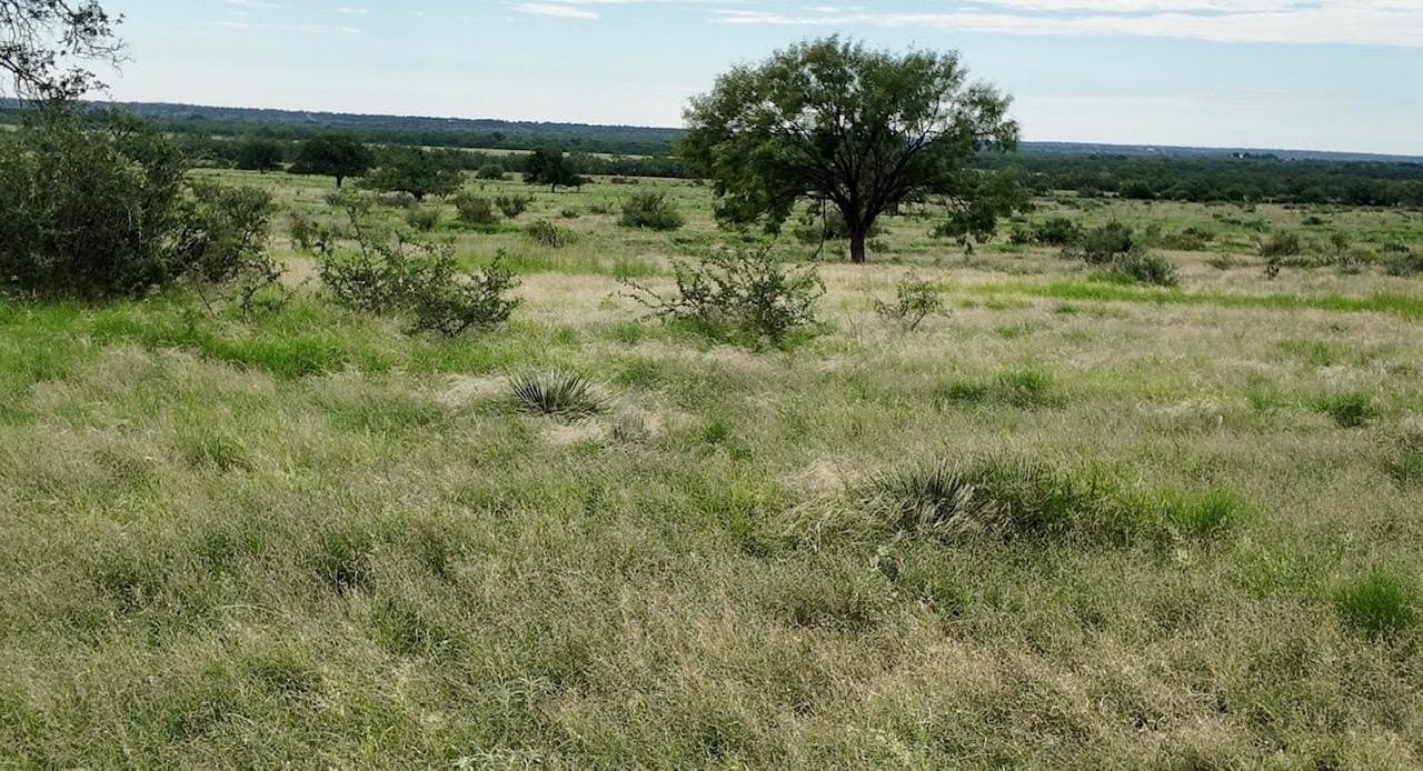 220 acres in McCulloch County - photo 27