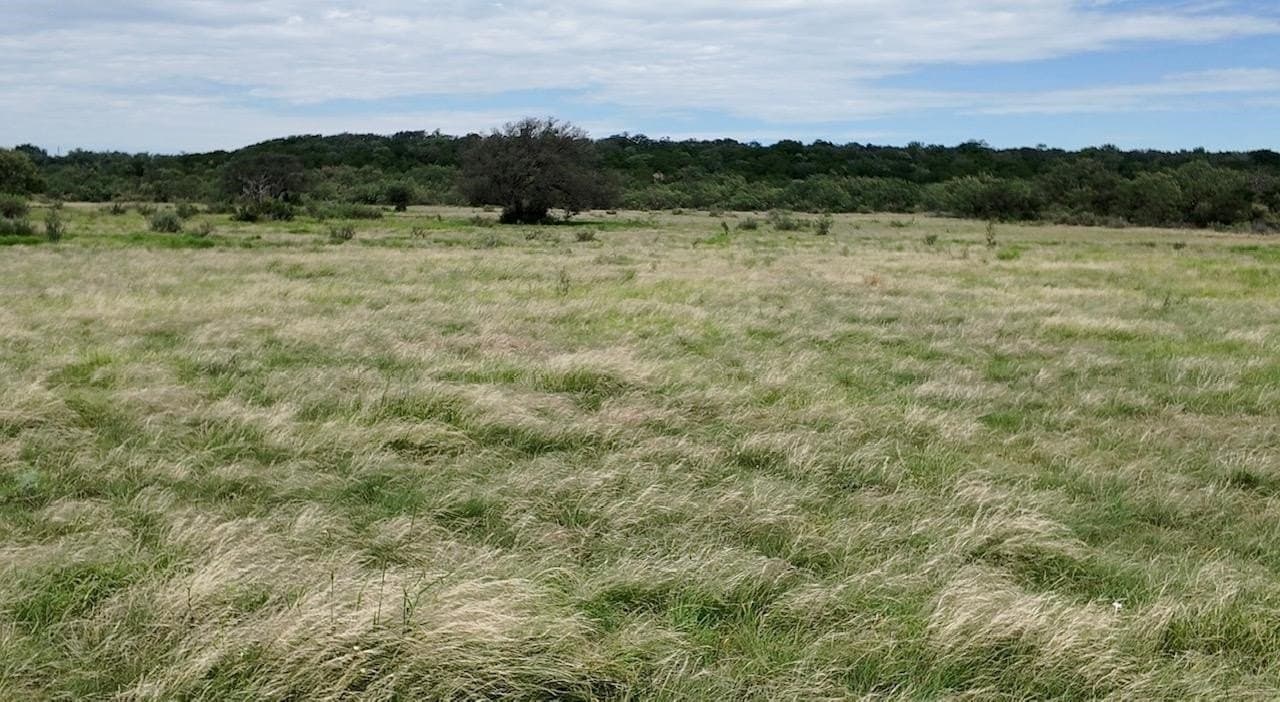 220 acres in McCulloch County - photo 24