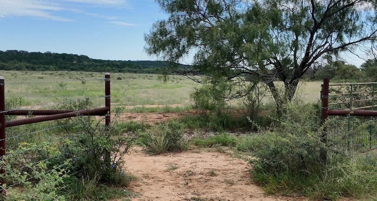 220 acres in McCulloch County - photo 16