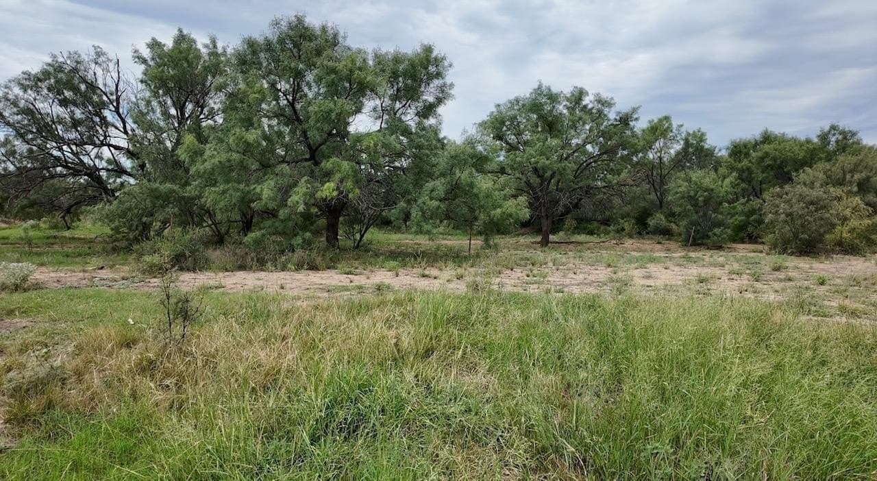 220 acres in McCulloch County - photo 30