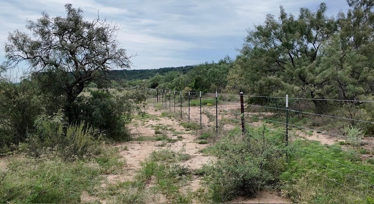 220 acres in McCulloch County - photo 25