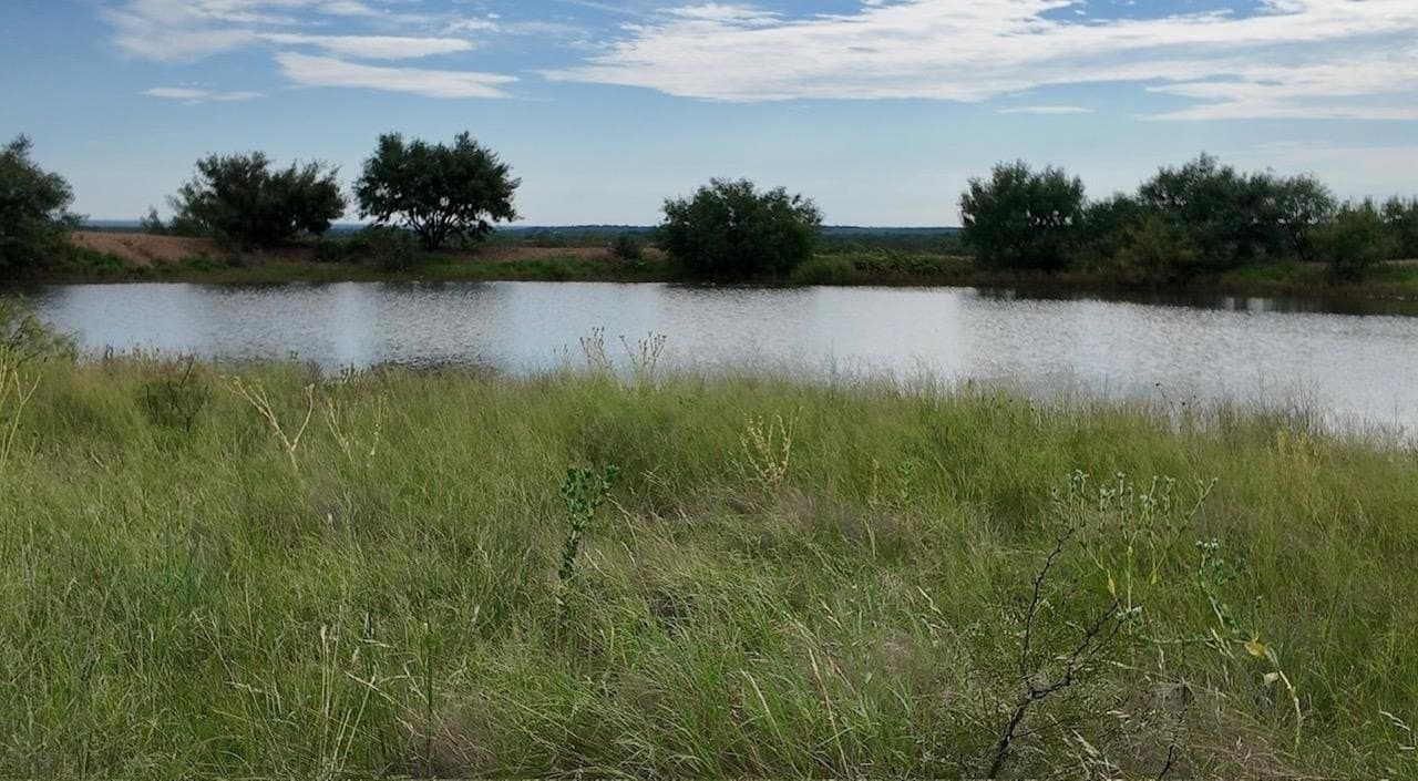 220 acres in McCulloch County - photo 17
