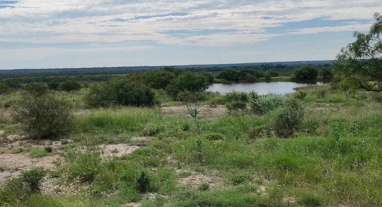 220 acres in McCulloch County - photo 4