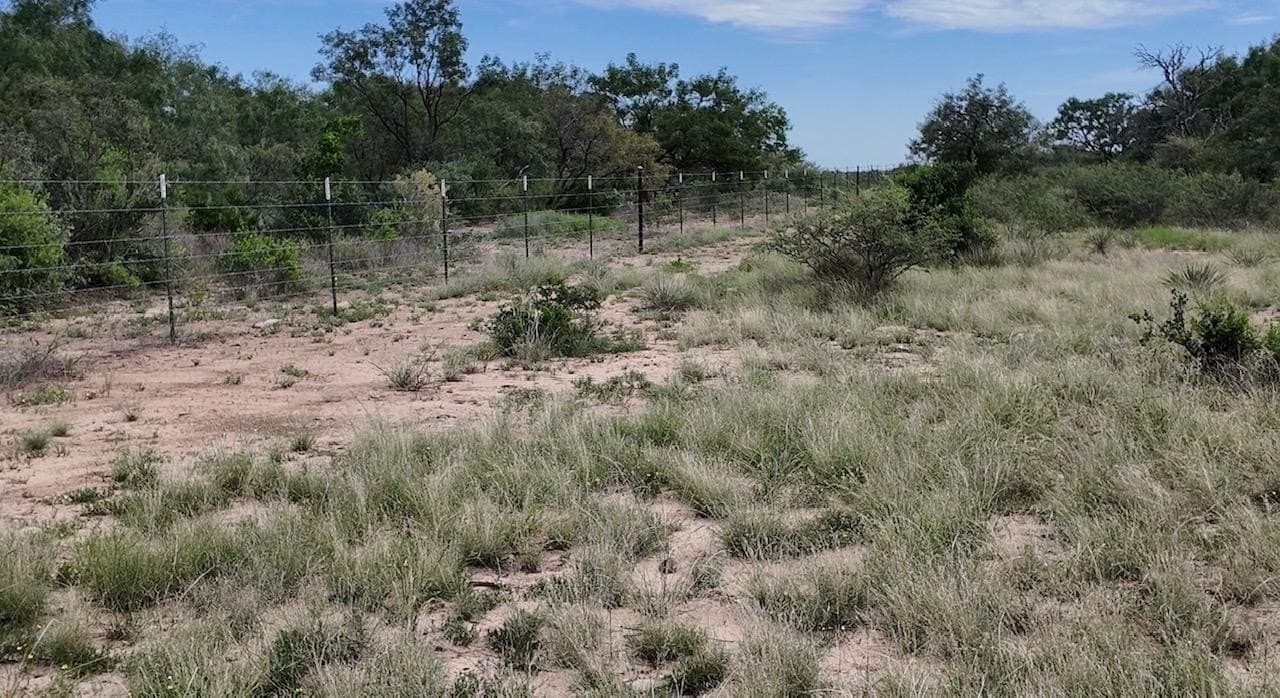 220 acres in McCulloch County - photo 6
