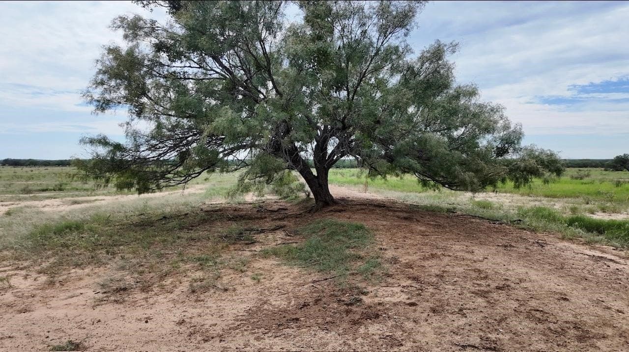 220 acres in McCulloch County - photo 28