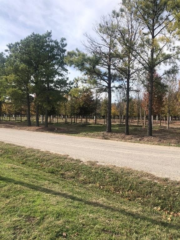 3 acres in Grayson County gallery image 3