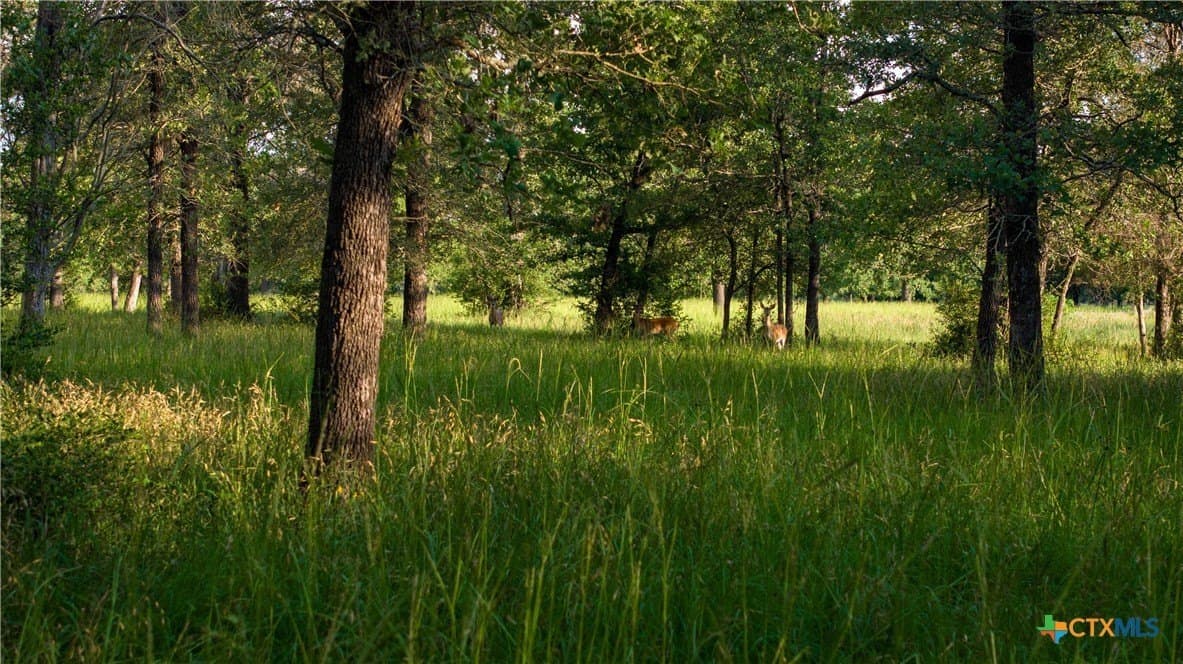 45.8 acres in Milam County - photo 37