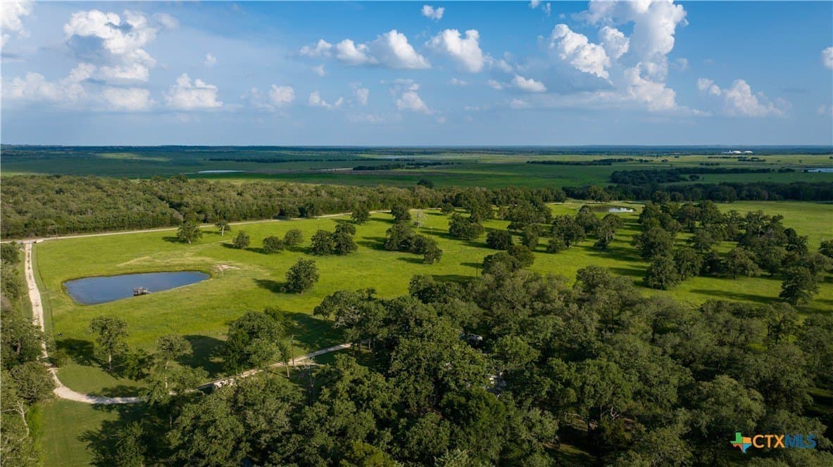 45.8 acres in Milam County gallery image 2