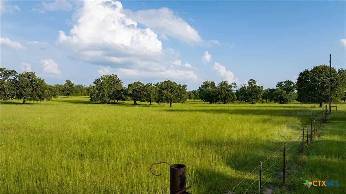 45.8 acres in Milam County - photo 35
