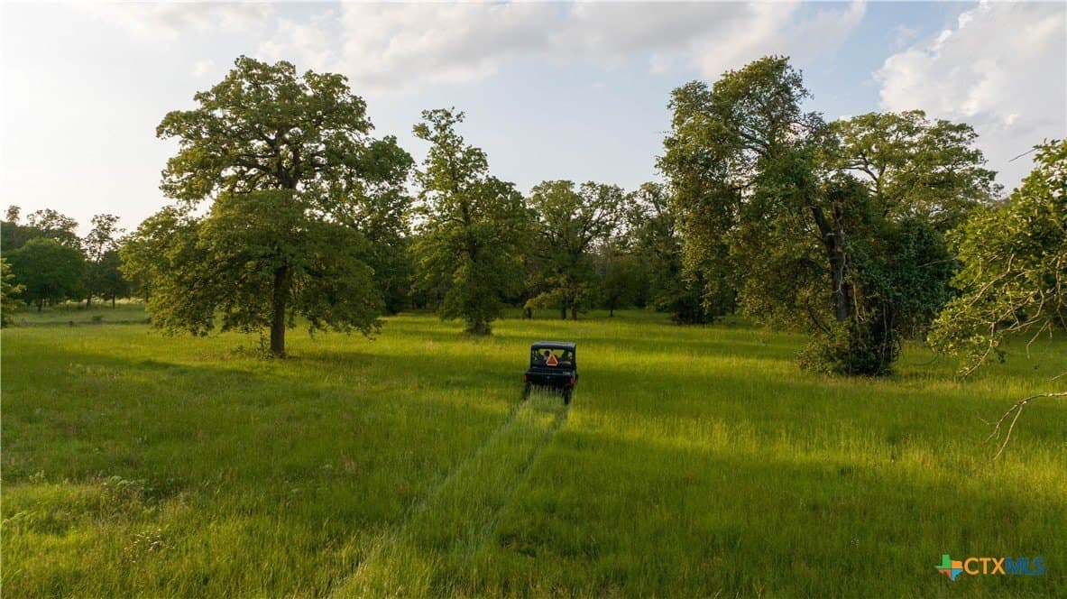 45.8 acres in Milam County - photo 7
