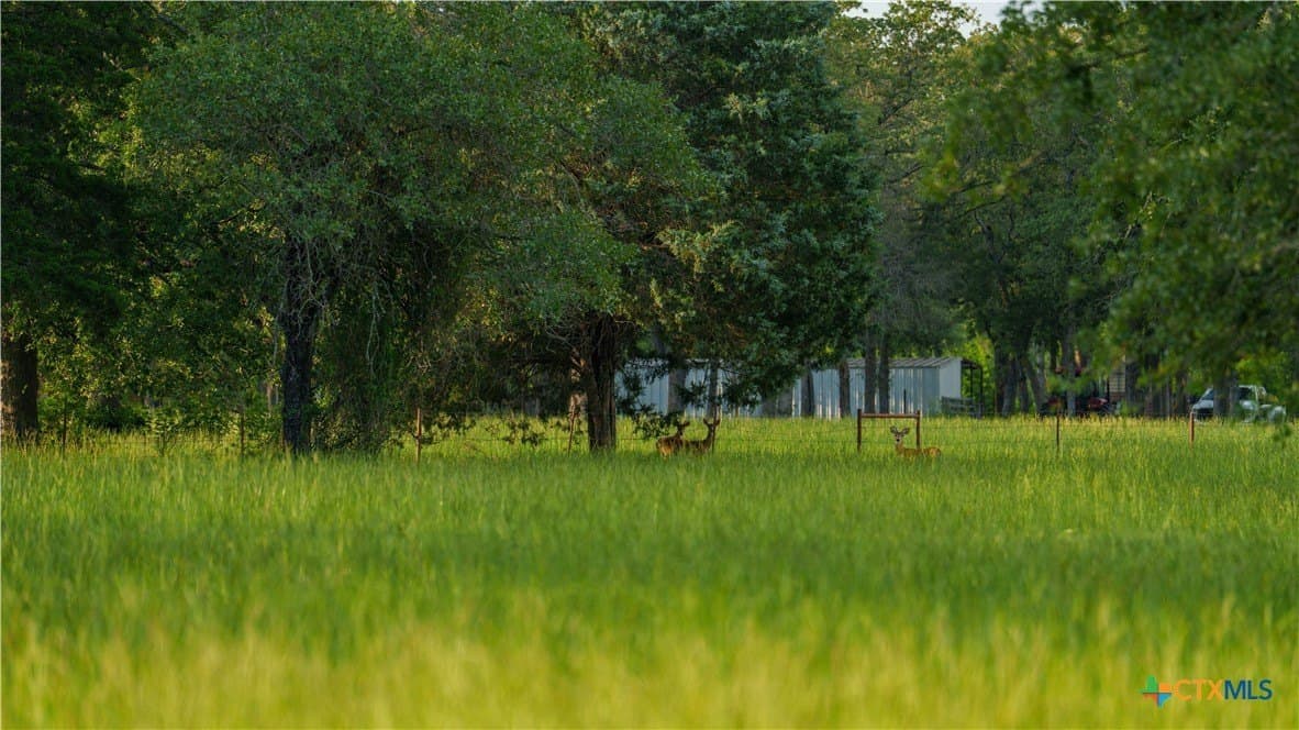 45.8 acres in Milam County - photo 32