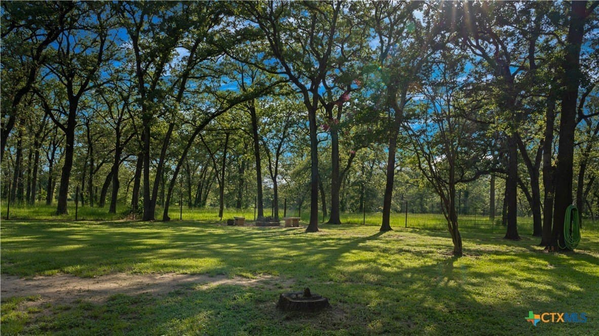 45.8 acres in Milam County - photo 29