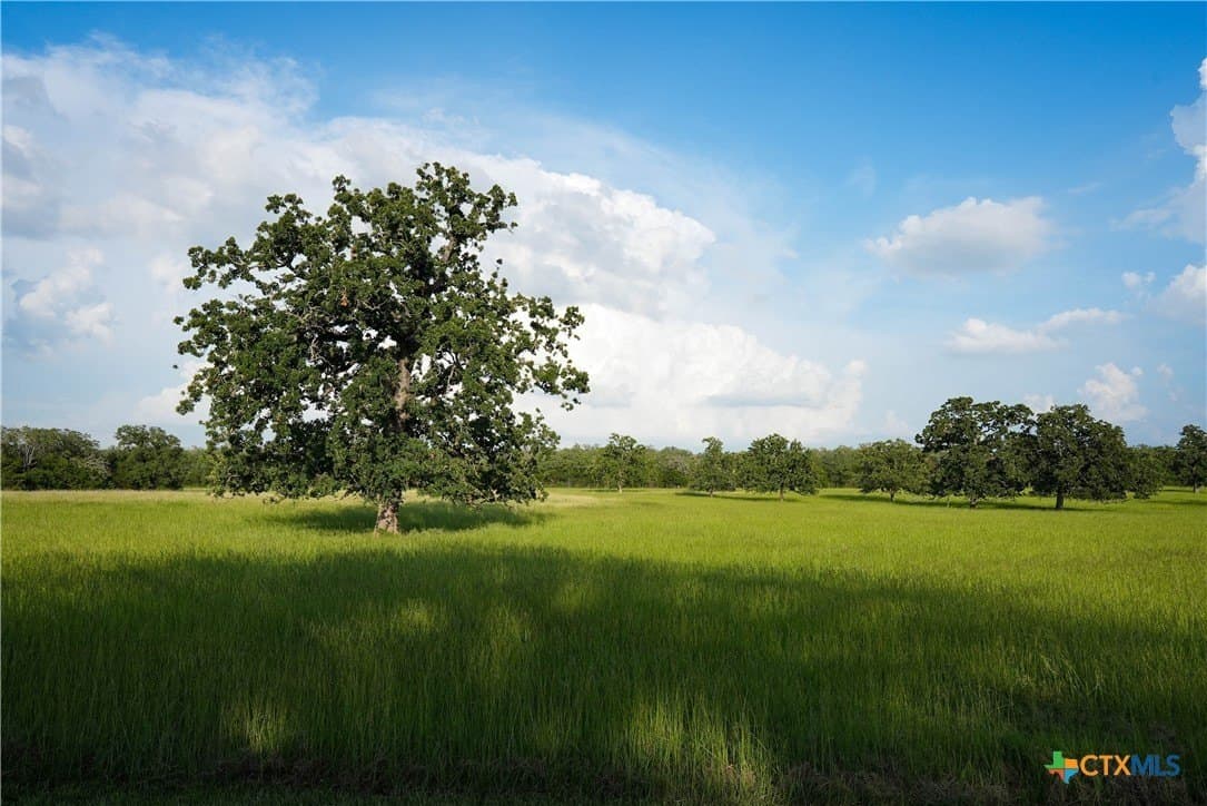 45.8 acres in Milam County - photo 31