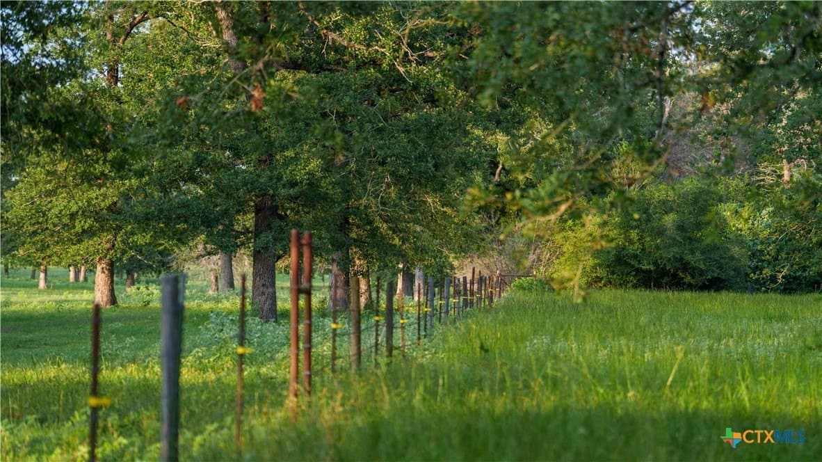 45.8 acres in Milam County - photo 36