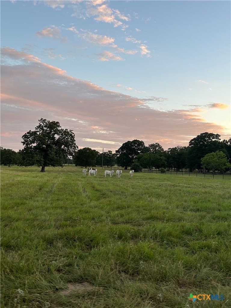 45.8 acres in Milam County - photo 34