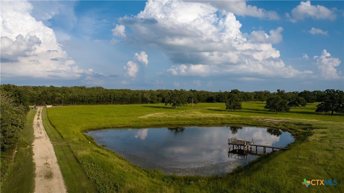 45.8 acres in Milam County gallery image 2