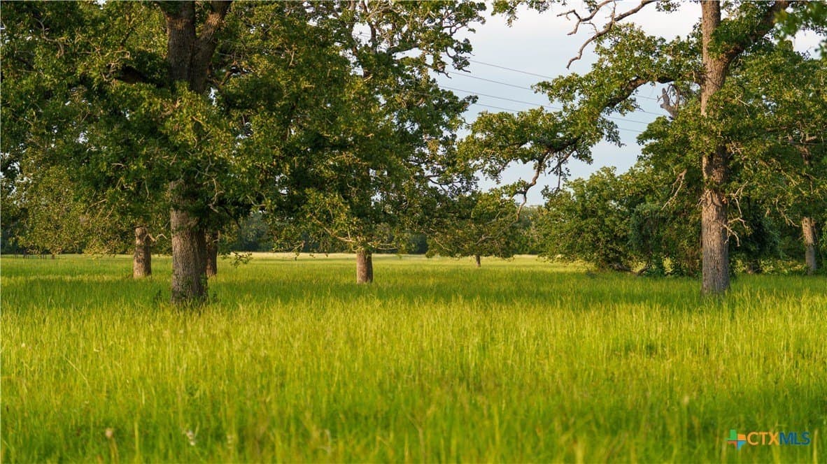 45.8 acres in Milam County - photo 28