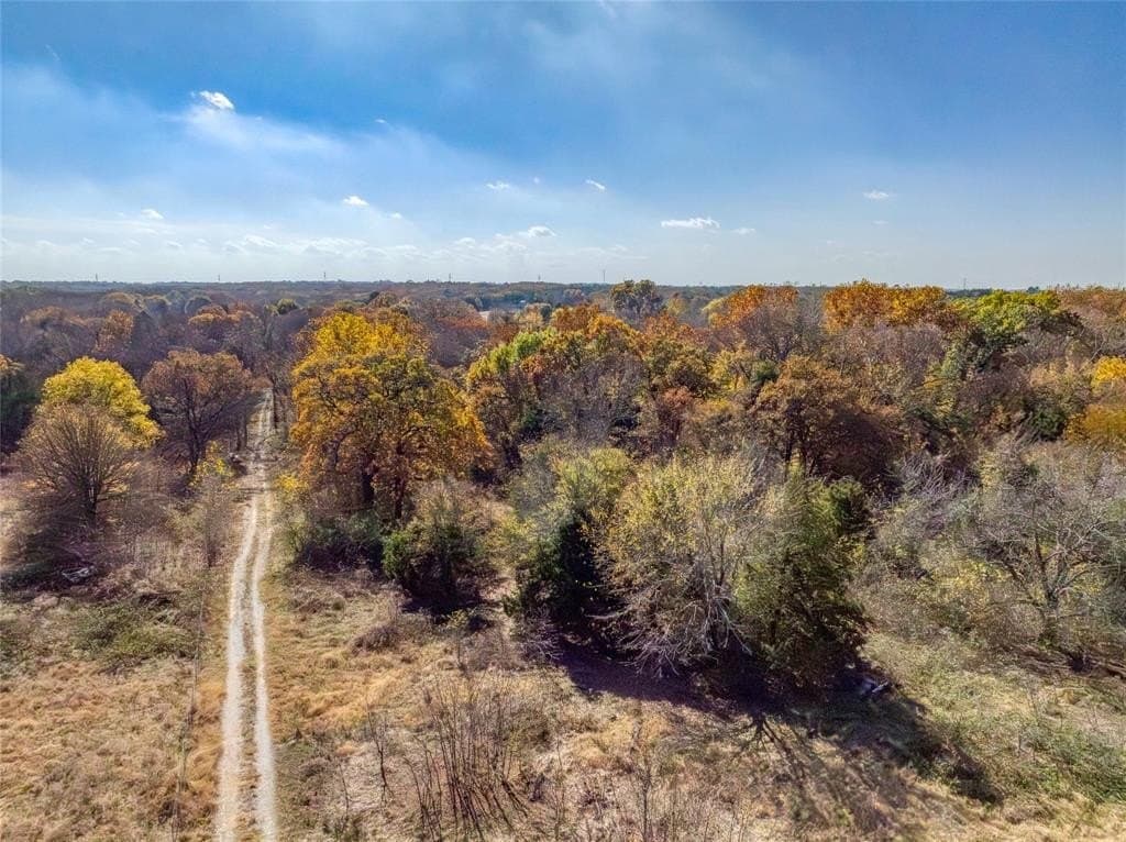 11.11 acres in Fannin County gallery image 3