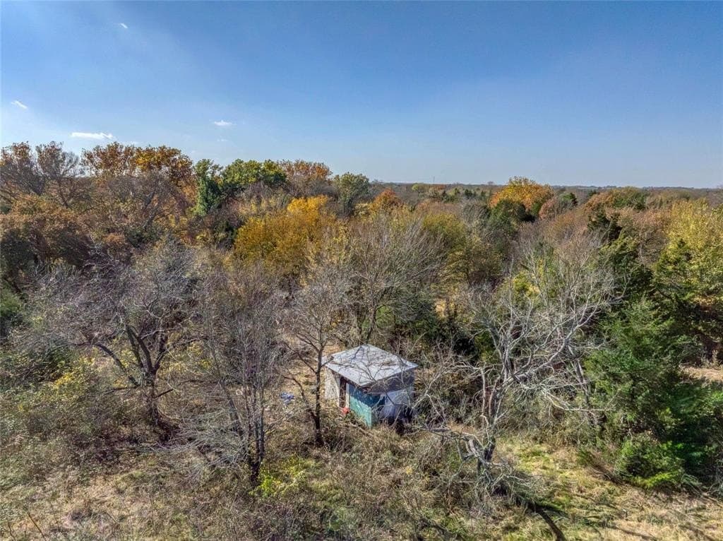 11.11 acres in Fannin County gallery image 4