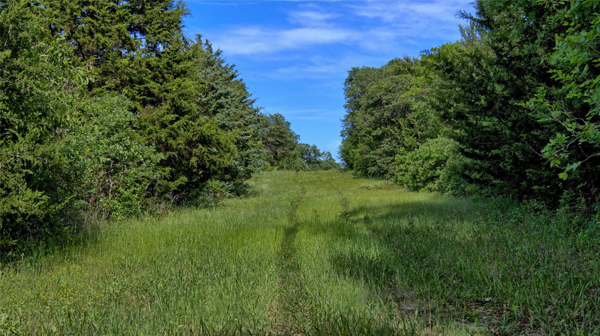 57.13 acres in Montague County - photo 10