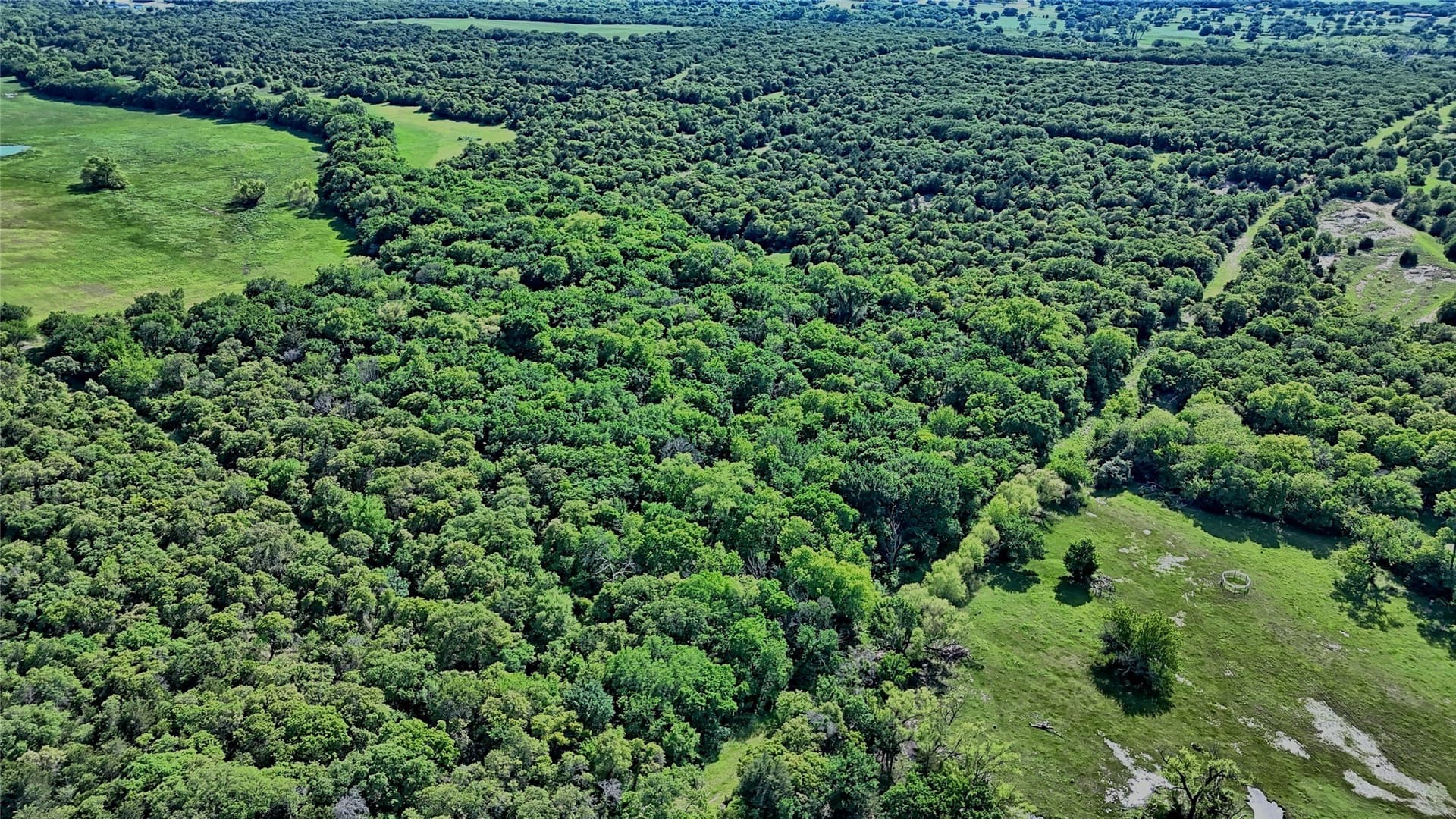 57.13 acres in Montague County - photo 15