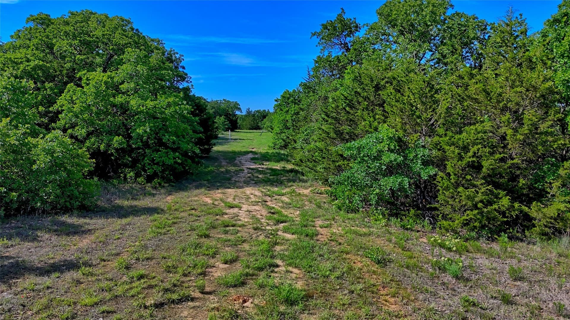 57.13 acres in Montague County - photo 8