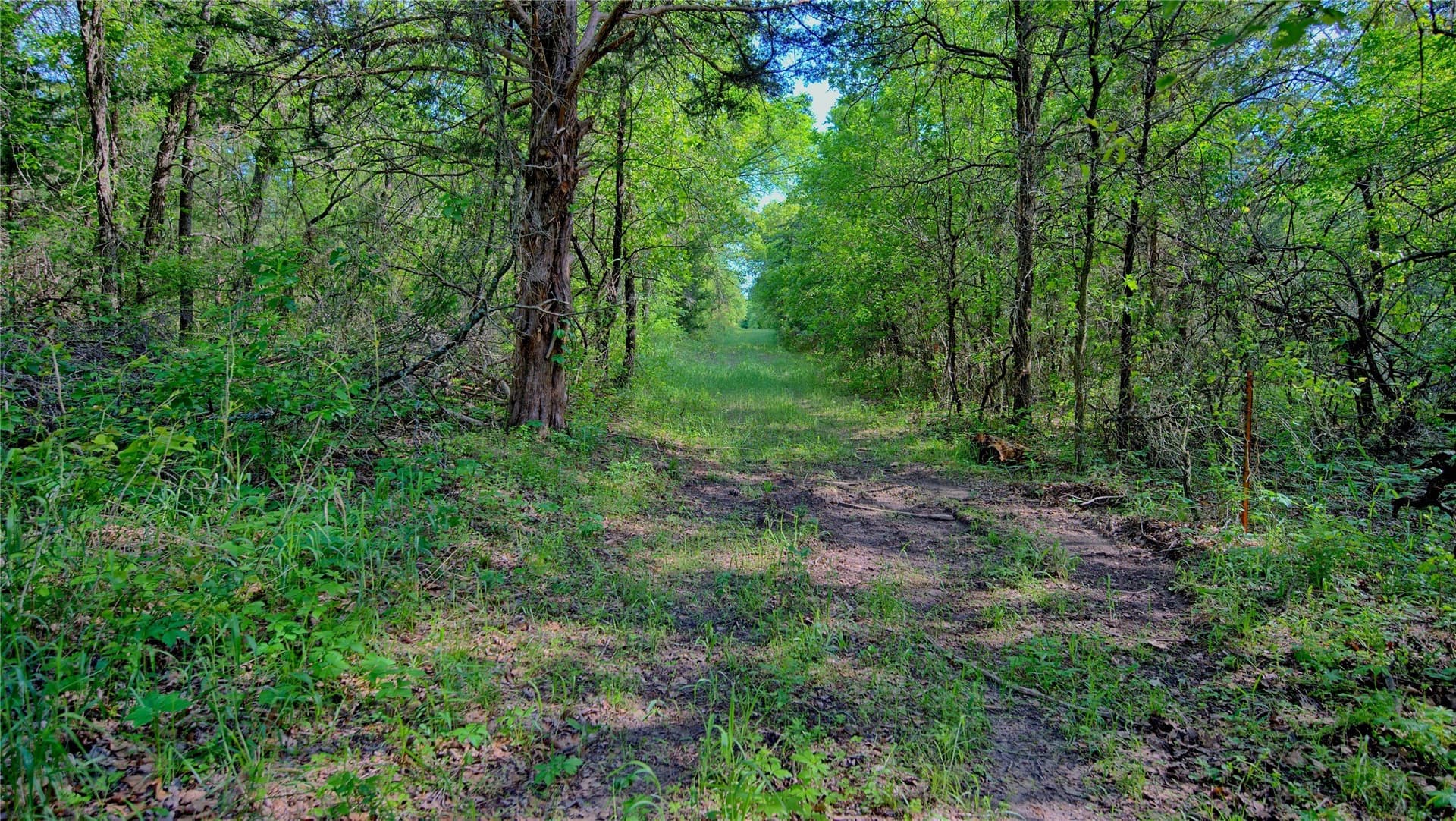 57.13 acres in Montague County - photo 11
