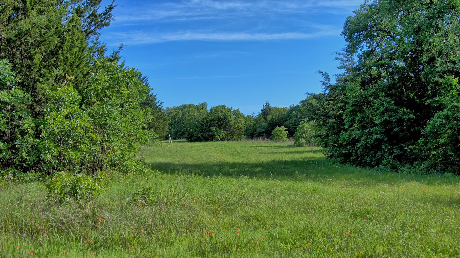 57.13 acres in Montague County - photo 2