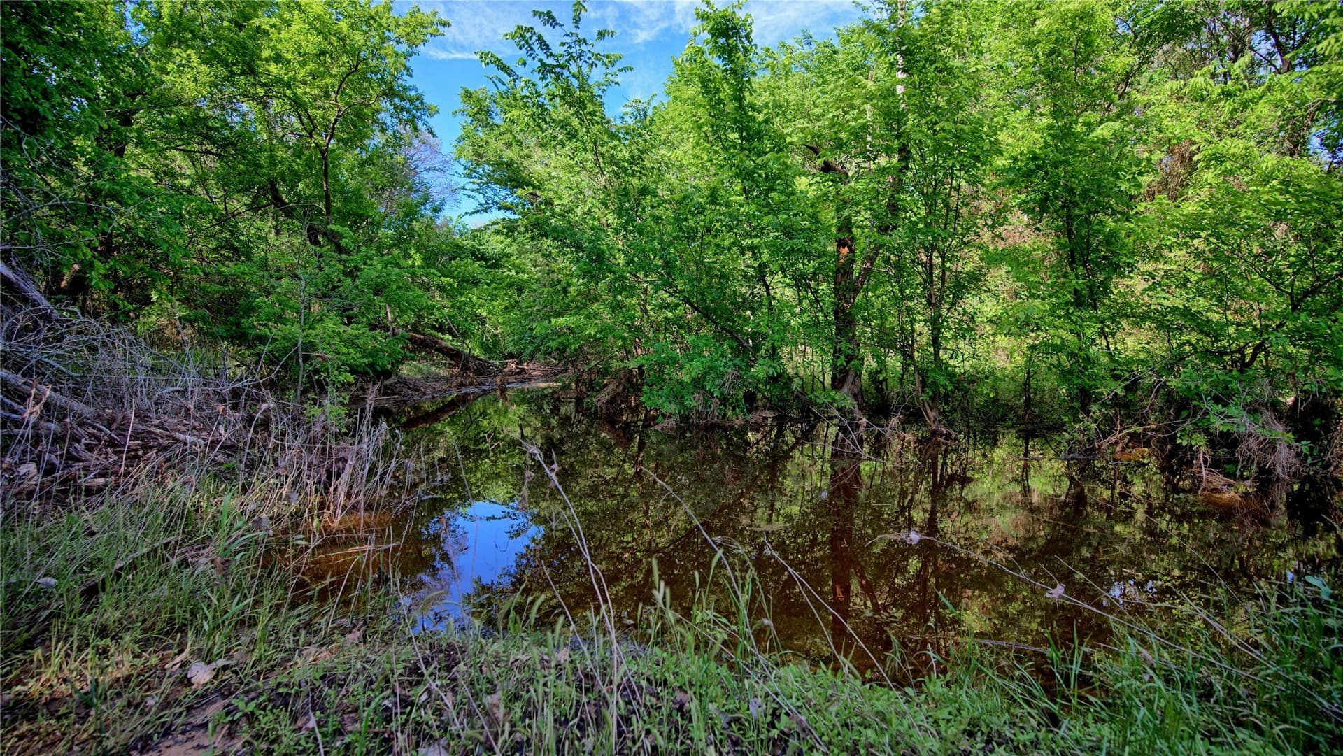 57.13 acres in Montague County - photo 9
