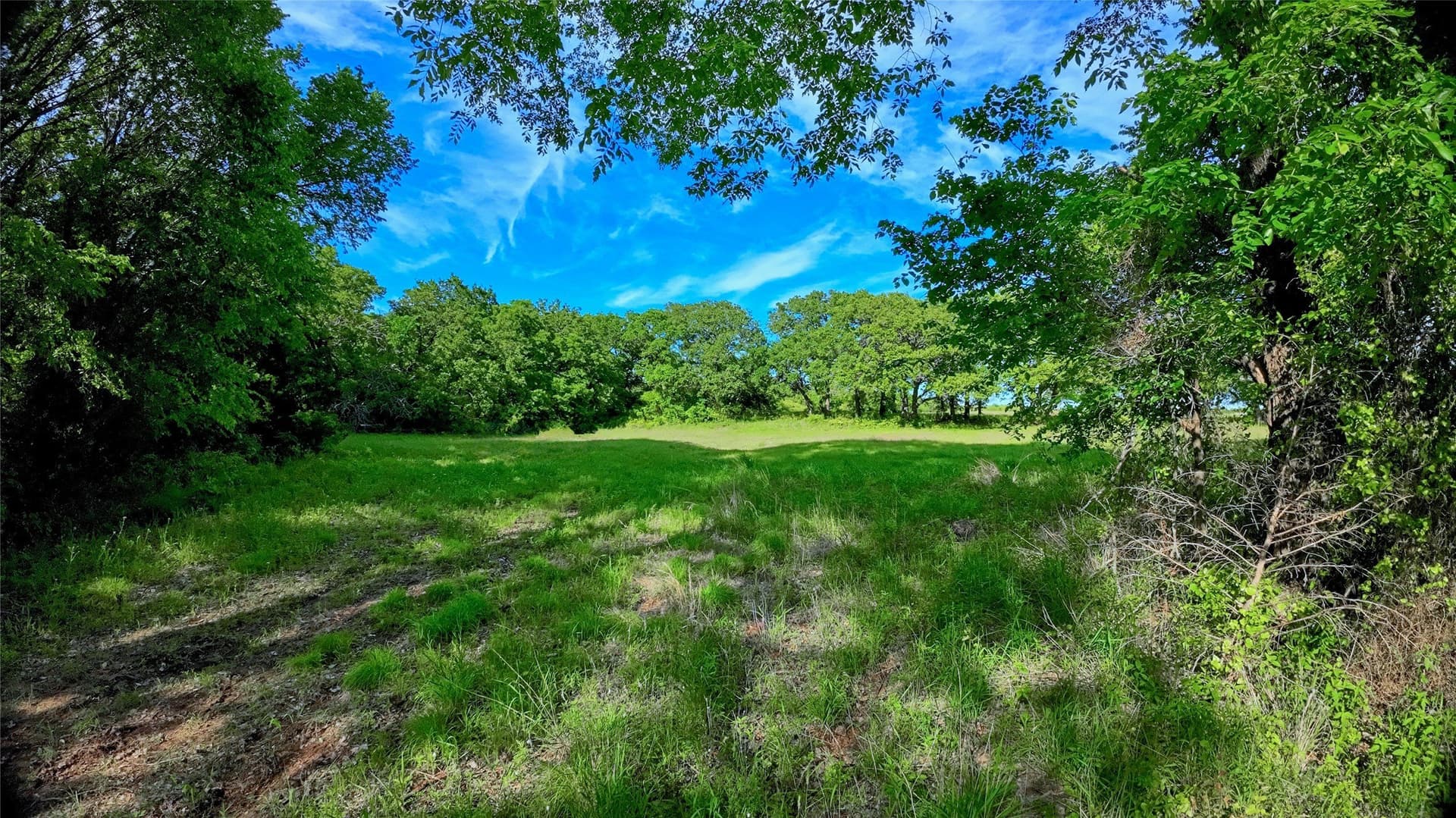 57.13 acres in Montague County - photo 16