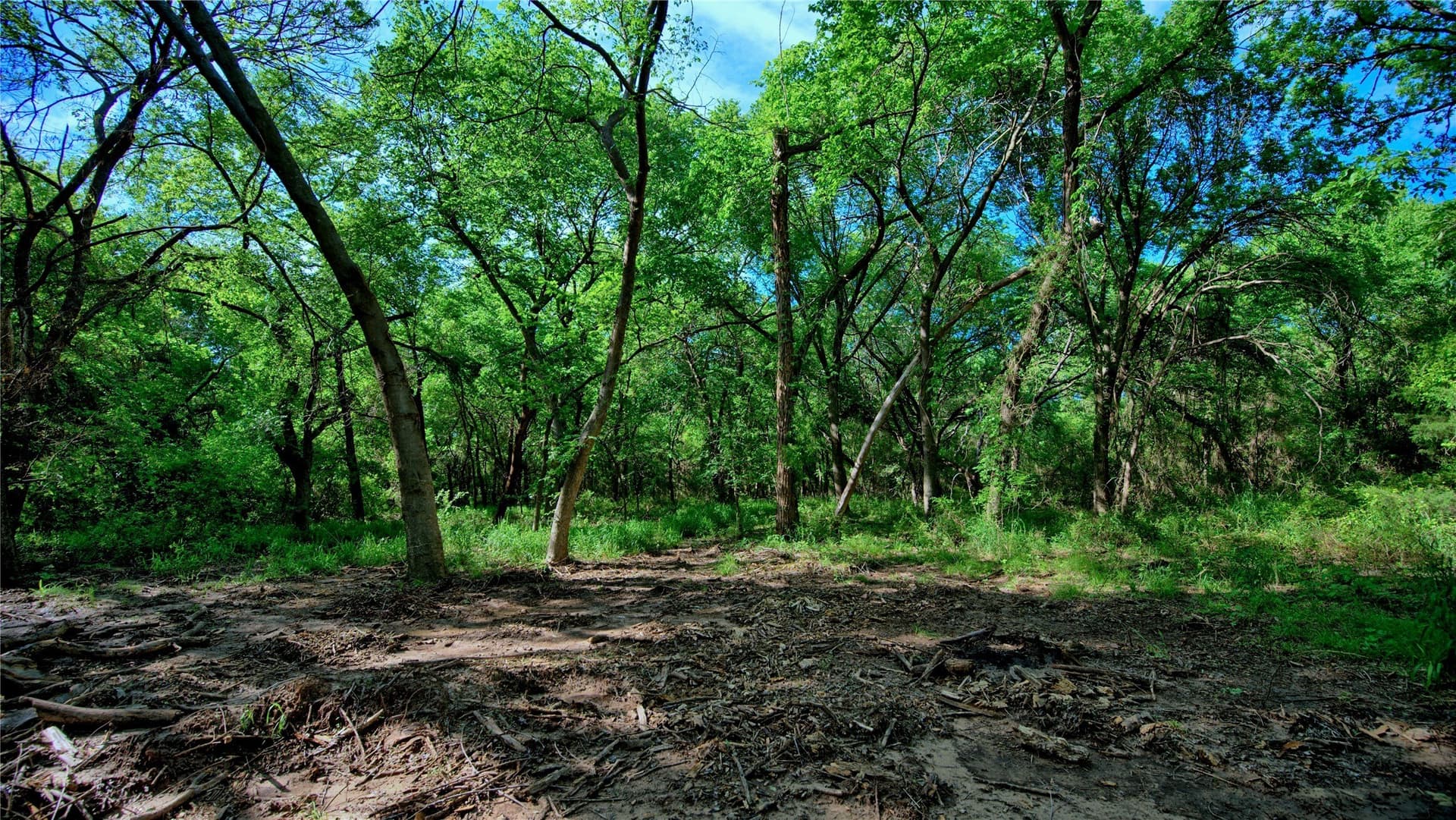 57.13 acres in Montague County - photo 4