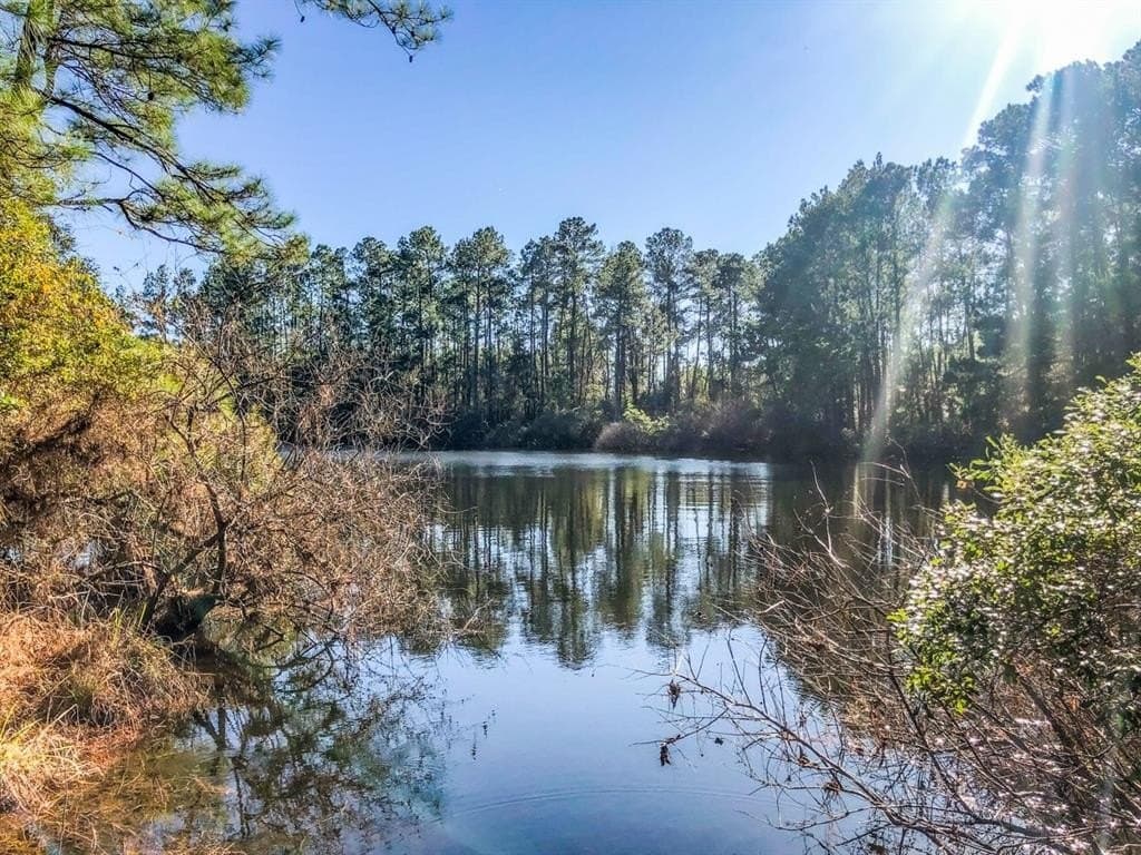 61.19 acres in Polk County