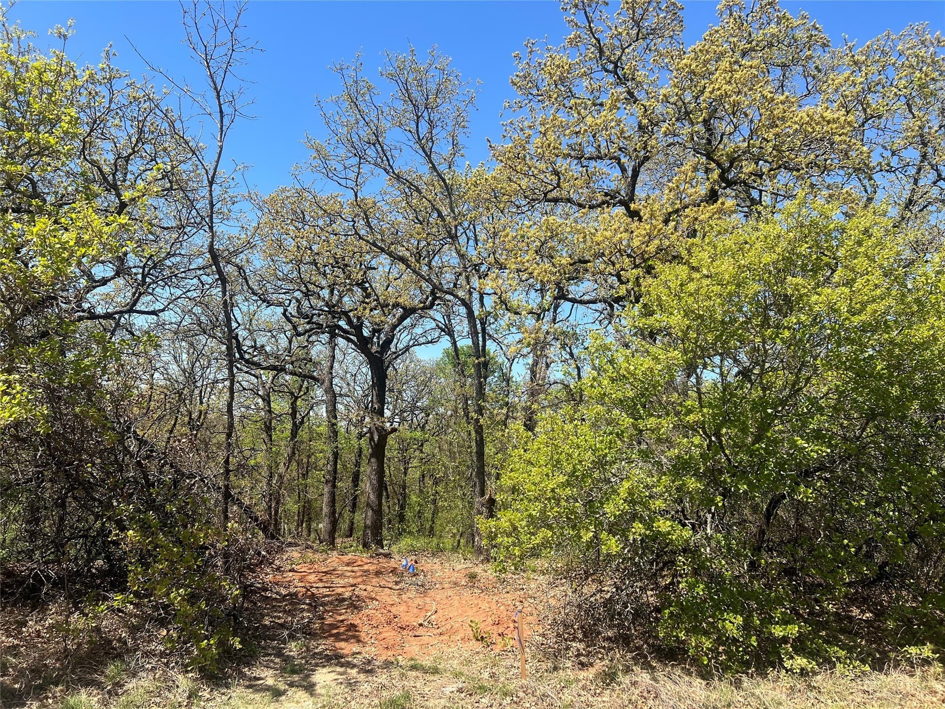 1.28 acres in Johnson County - photo 9