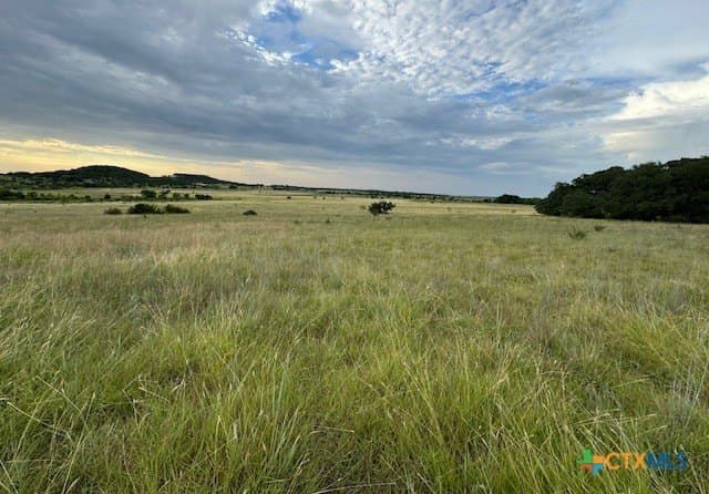 191 acres in Coryell County gallery image 2