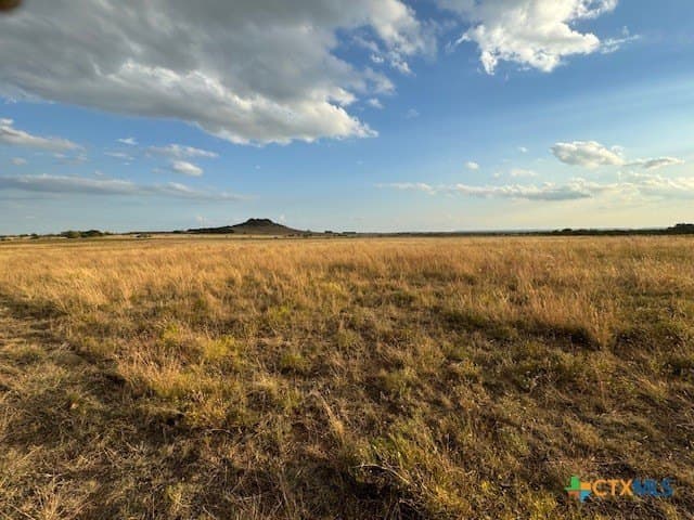 191 acres in Coryell County - photo 9