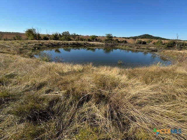 191 acres in Coryell County gallery image 4