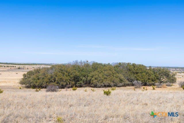 191 acres in Coryell County - photo 13