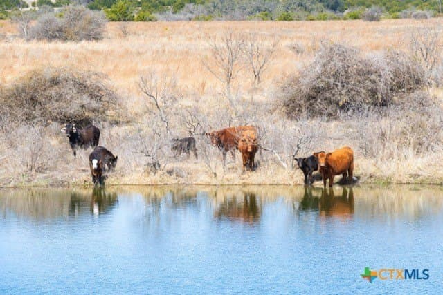 191 acres in Coryell County - photo 17